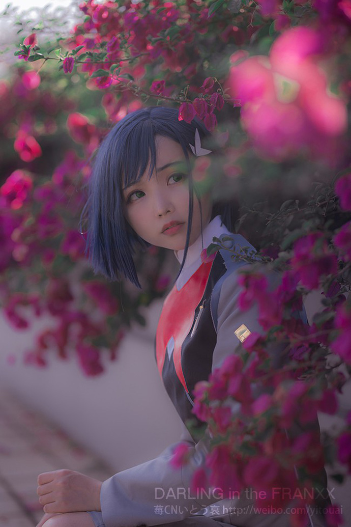 猫步她老公哀子 cos 作品 | 猫步她老公哀子 cos《DARLING in the FRANXX》莓插图4