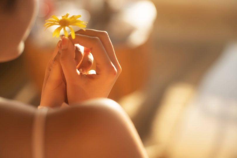 木棉棉OwO cos图包 | 木棉棉OwO_木棉棉·如果你也喜欢花cos作品 [47P-796MB]