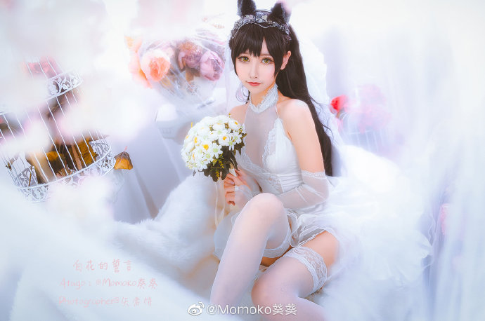 Momoko葵葵cos《碧蓝航线》的爱宕，白花舞动的迷恋插图1
