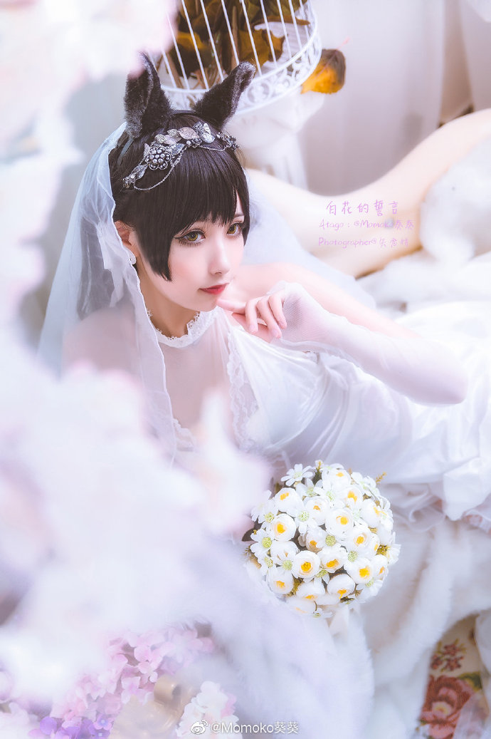 Momoko葵葵cos《碧蓝航线》的爱宕，白花舞动的迷恋插图5