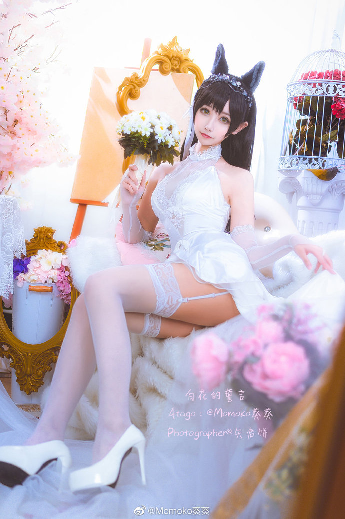 Momoko葵葵cos《碧蓝航线》的爱宕，白花舞动的迷恋插图4