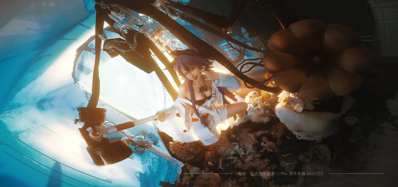 阳炎型小菠萝cos莓丝 | 阳炎型小菠萝_无期迷途·禁闭者莓丝cos作品 [14P-47MB]